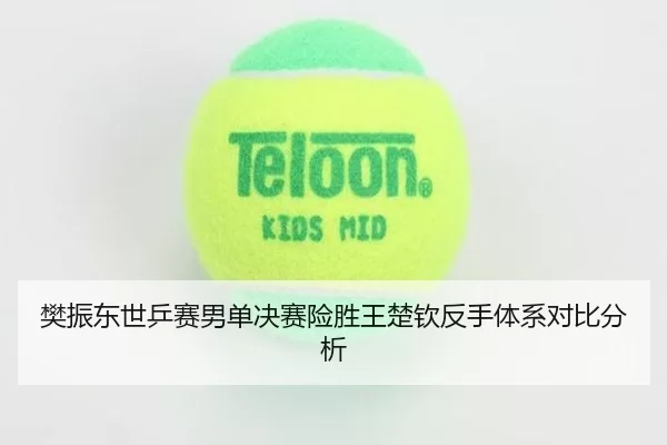 fan-zhen-dong-shi-ping-sai-nan-dan-jue-sai-xian-sheng-wang-chu-qin-fan-shou-ti-xi-dui-bi-fen-xi-3-112.jpg